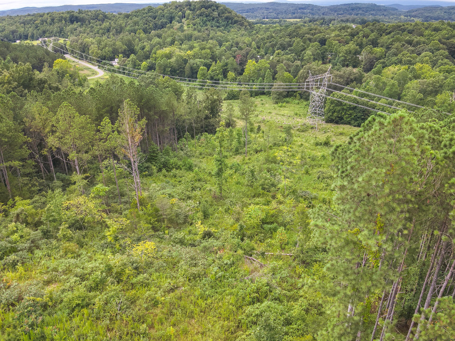 0 Polymer Drive Decatur, TN 37322 - Photo 20 of 86