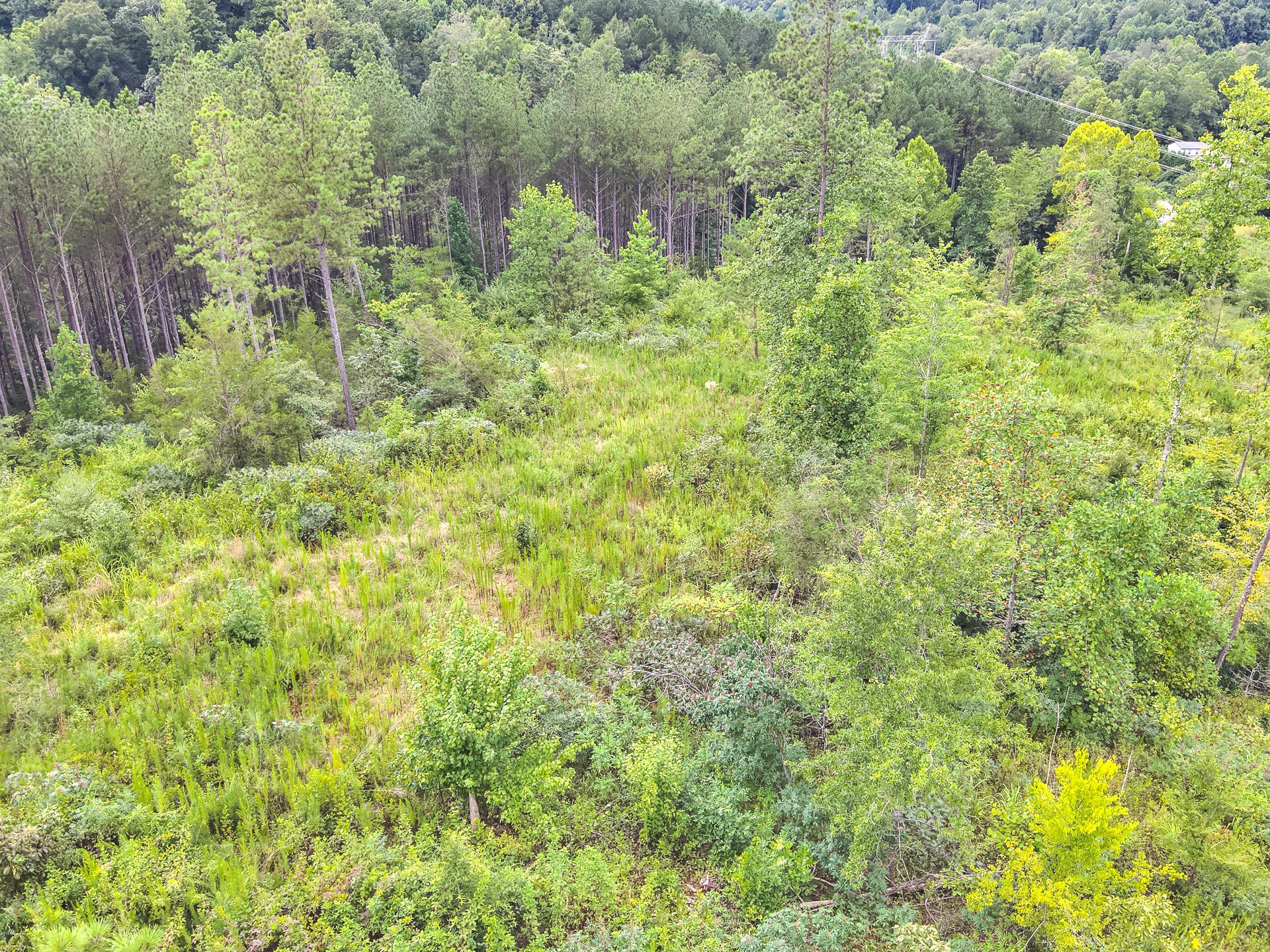 0 Polymer Drive Decatur, TN 37322 - Photo 47 of 86