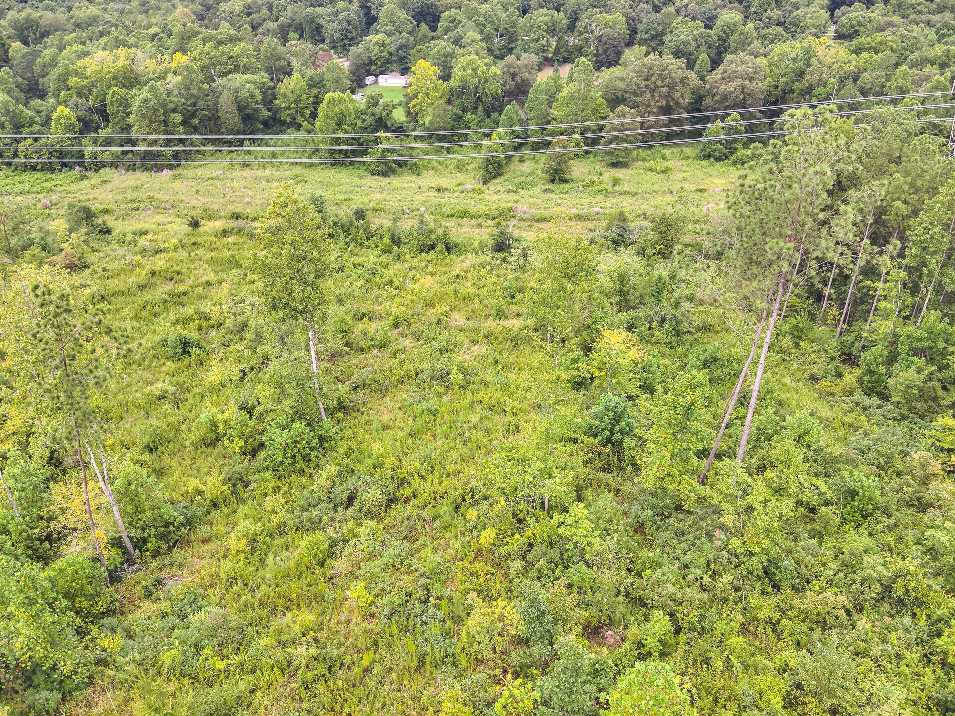 0 Polymer Drive Decatur, TN 37322 - Photo 60 of 86