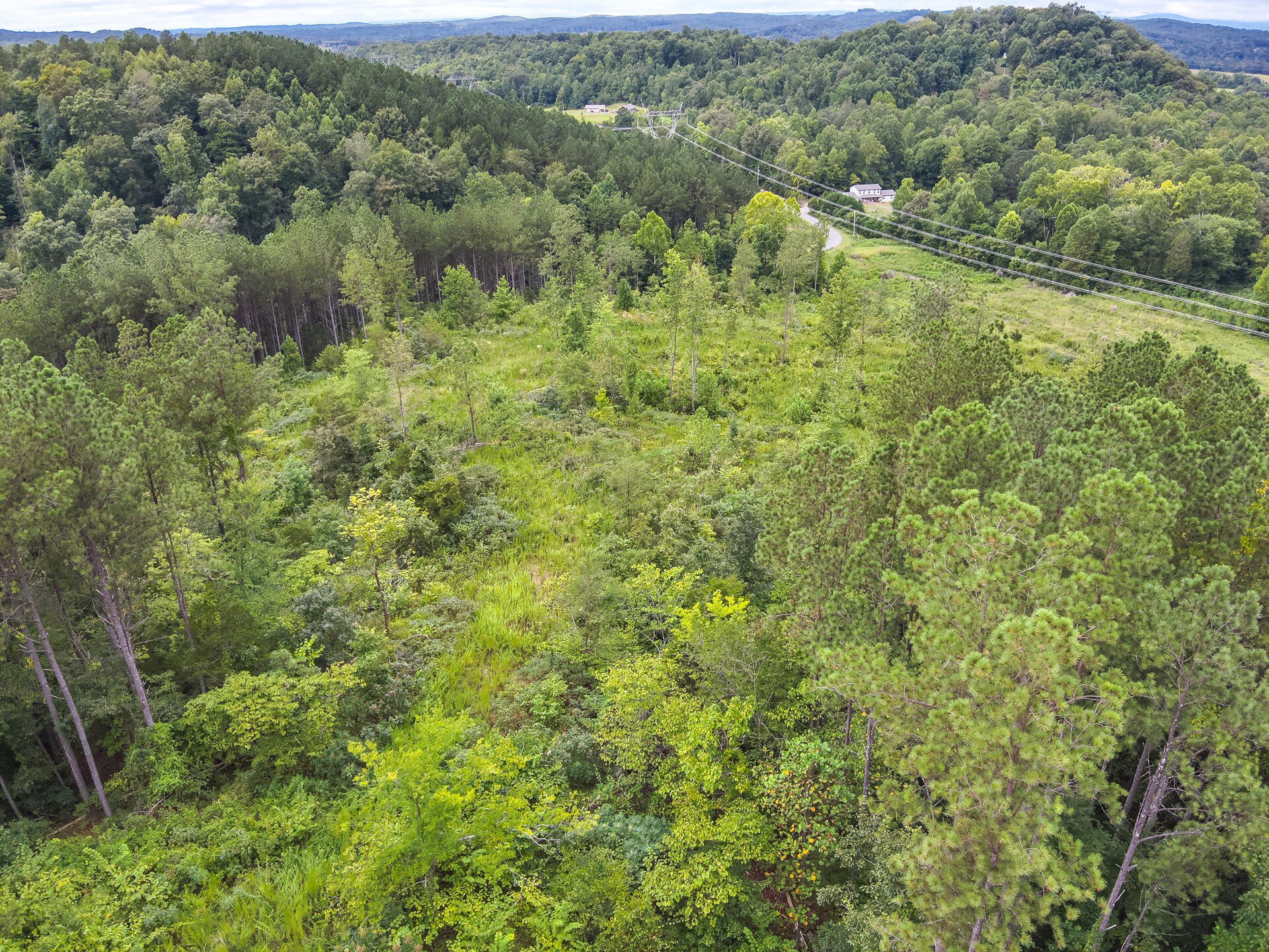 0 Polymer Drive Decatur, TN 37322 - Photo 61 of 86