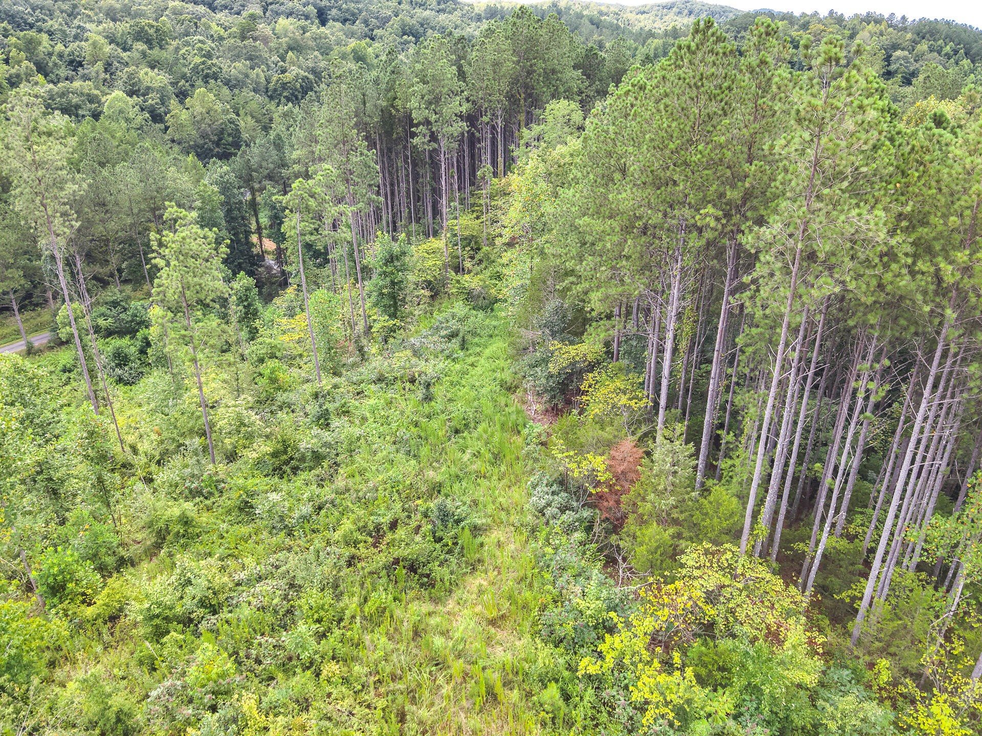 0 Polymer Drive Decatur, TN 37322 - Photo 62 of 86