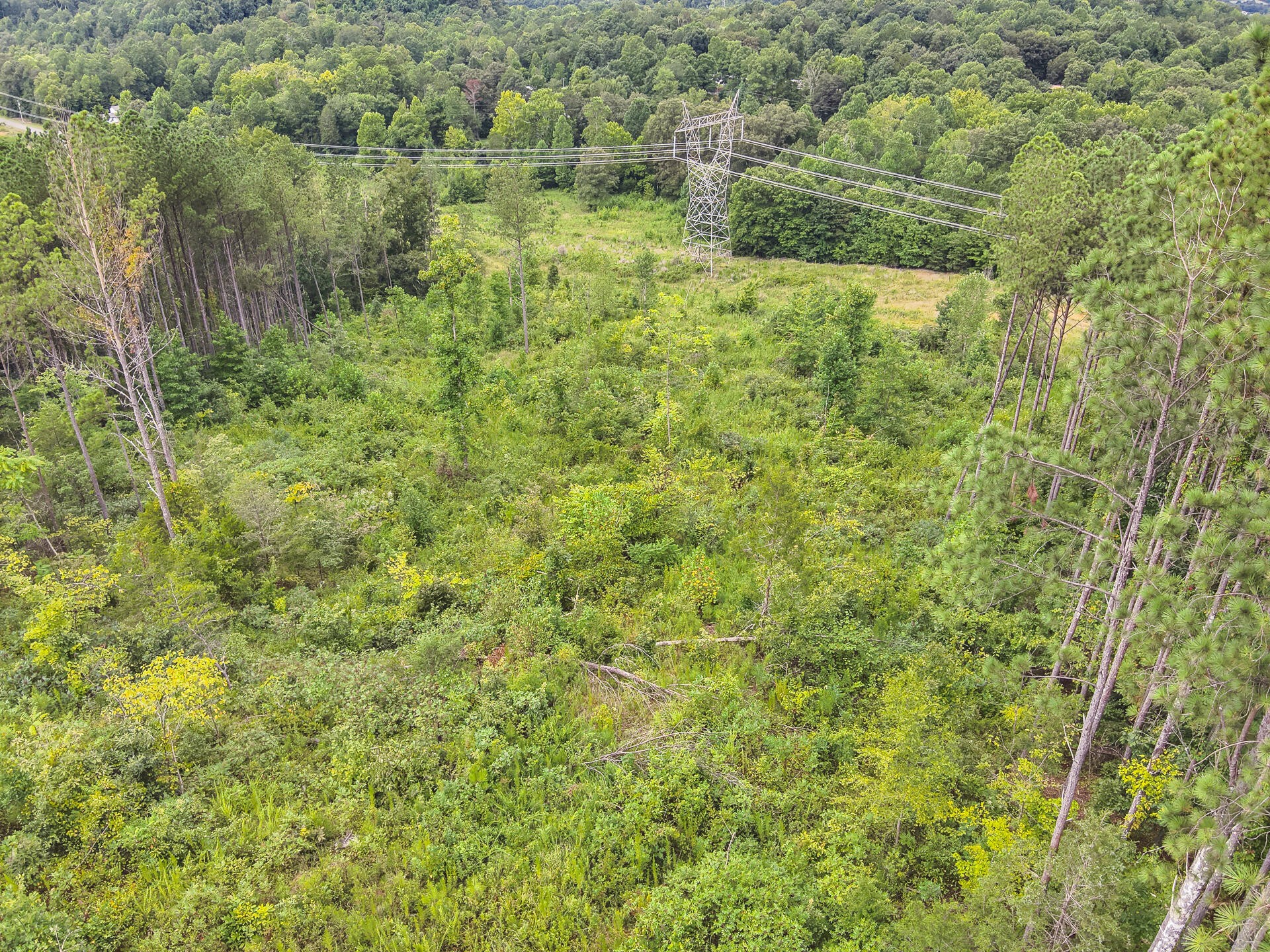 0 Polymer Drive Decatur, TN 37322 - Photo 64 of 86