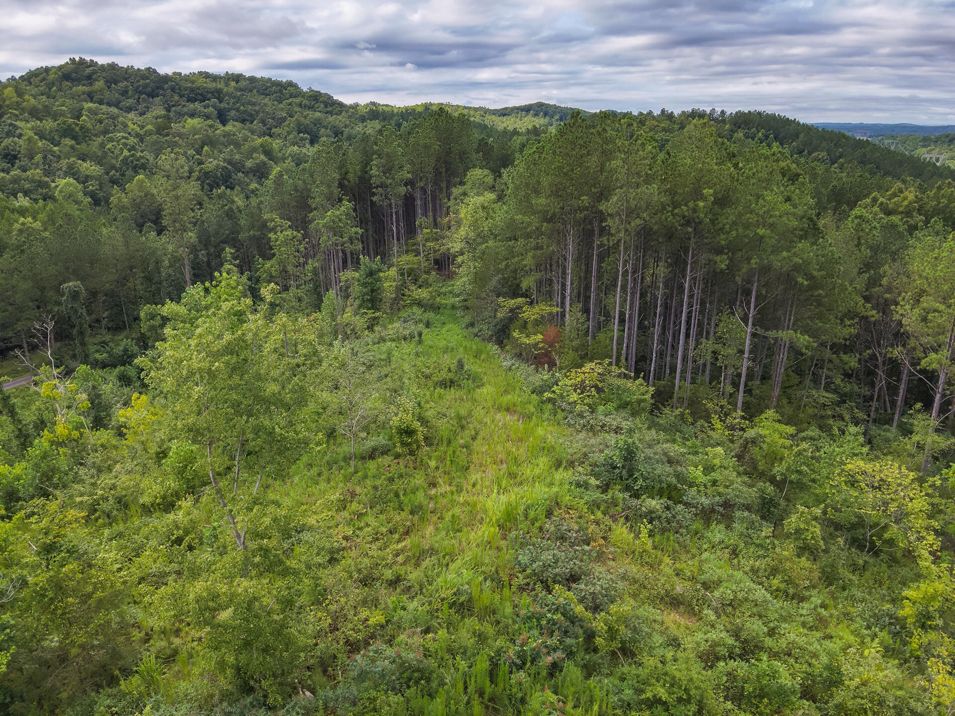 0 Polymer Drive Decatur, TN 37322 - Photo 65 of 86