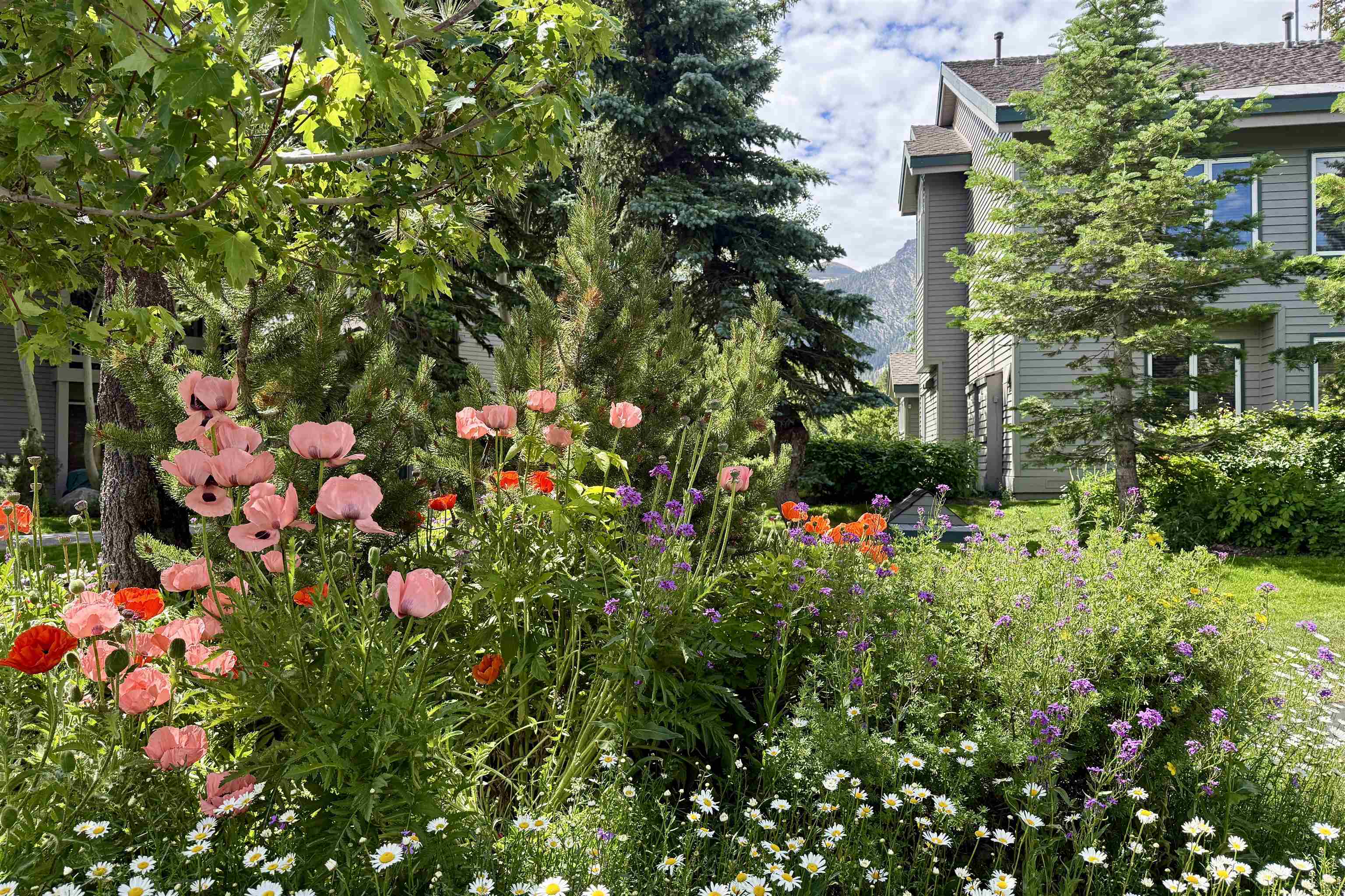 625 Golden Creek Road, Unit 625 Mammoth Lakes, CA 93546 - Photo 36 of 37 Lush landscaping featuring a variety of flowering plants, mature trees, and a grassy area