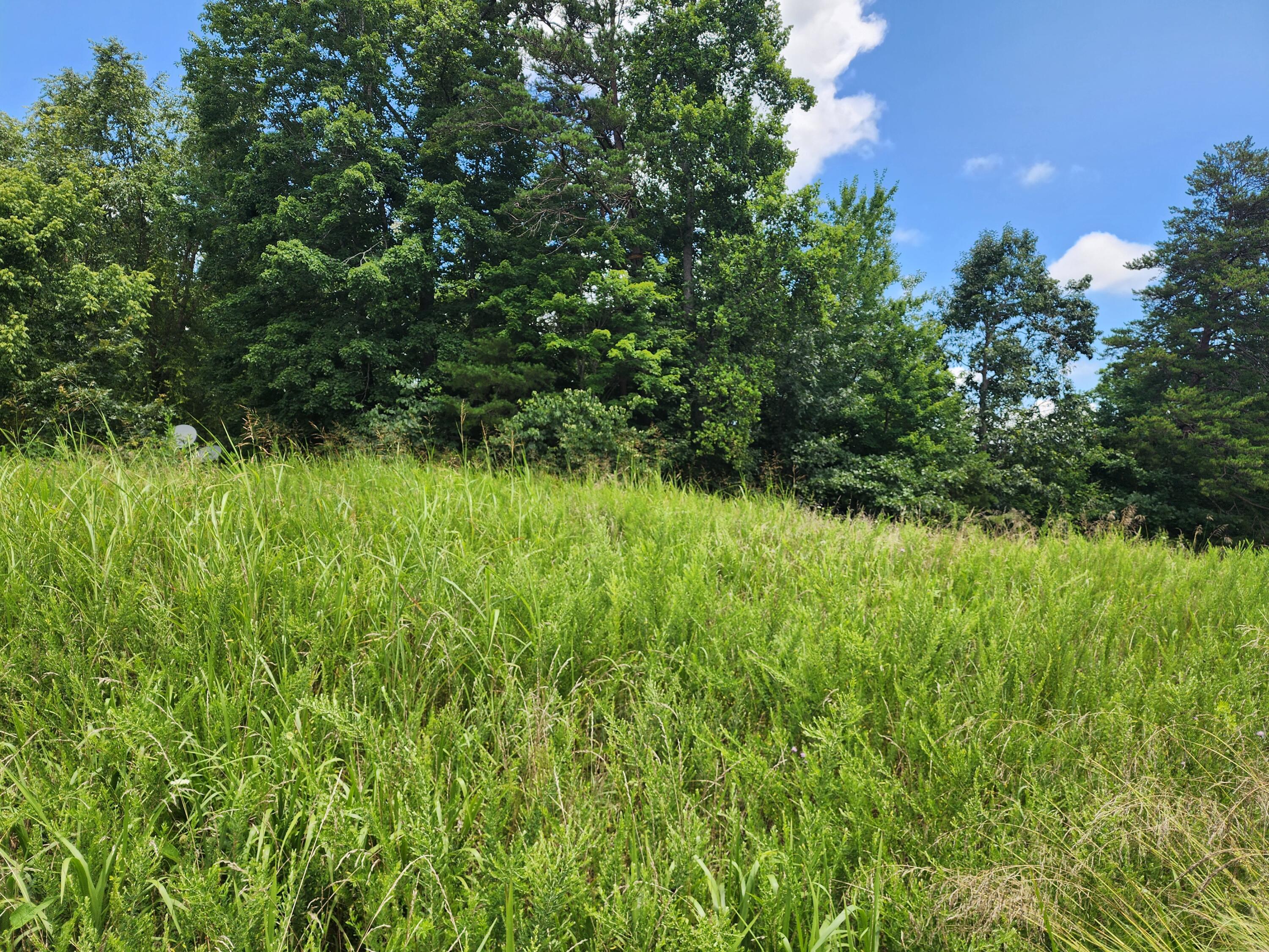 Lot 32 Lake View Point Glade Hill, VA 24092 - Photo 4 of 7 a view of a garden