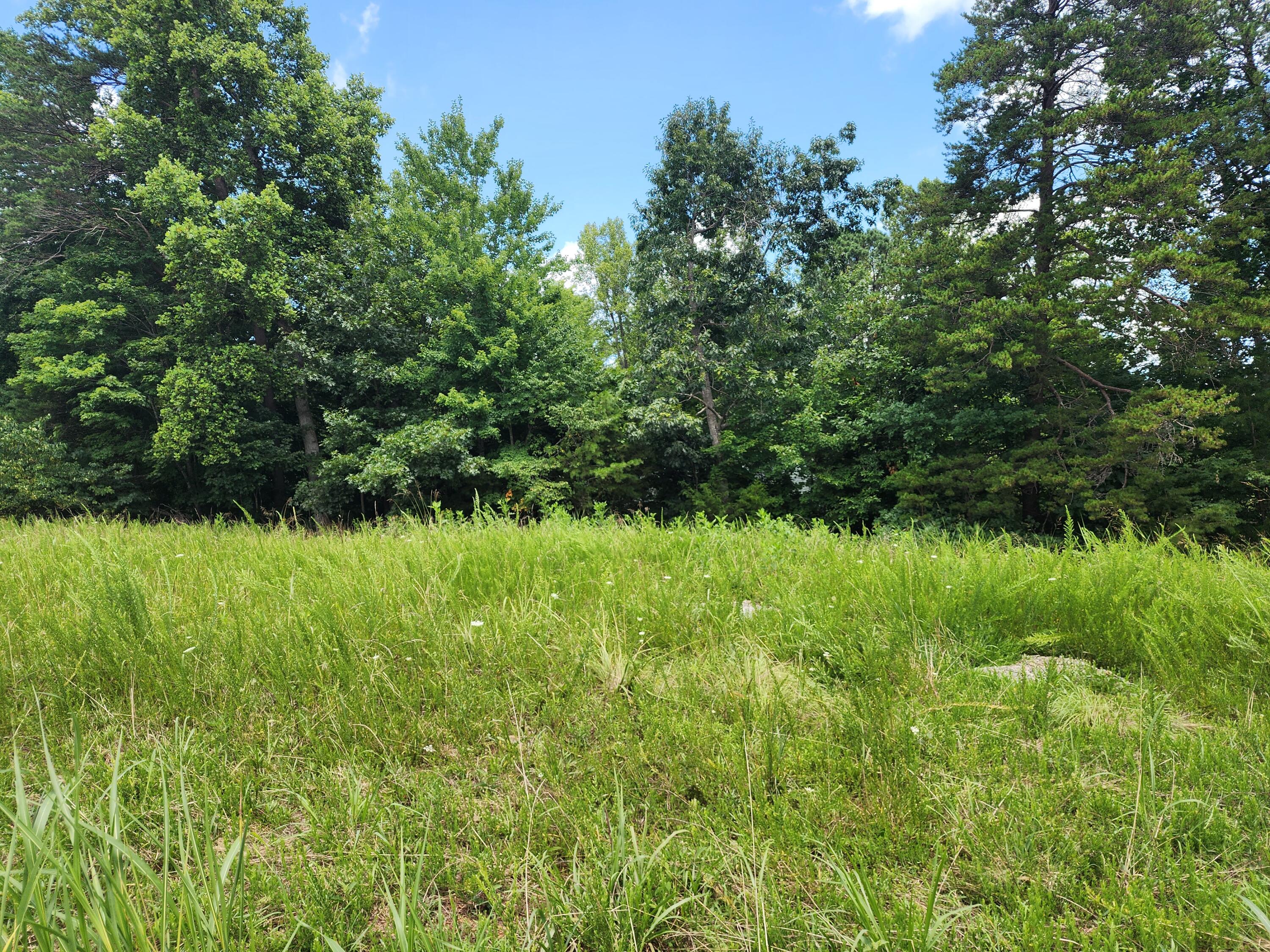 Lot 32 Lake View Point Glade Hill, VA 24092 - Photo 5 of 7 a view of a garden from a lake