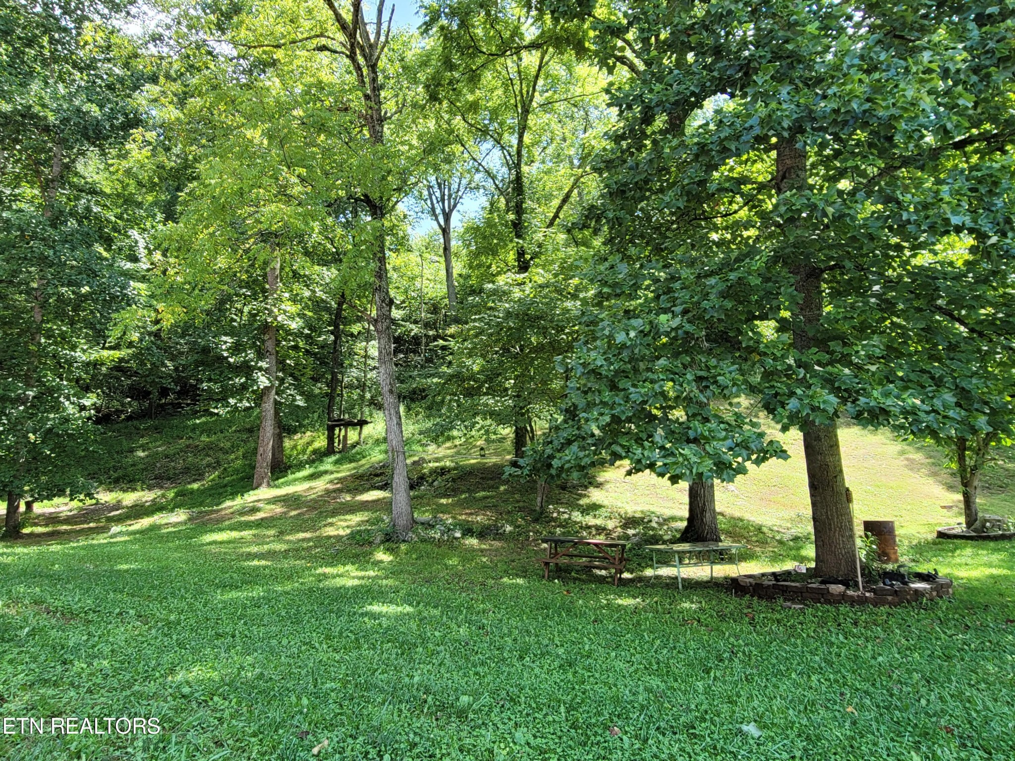 287 Cedarview Lane Bean Station, TN 37708 - Photo 34 of 35 Gallery Image 34