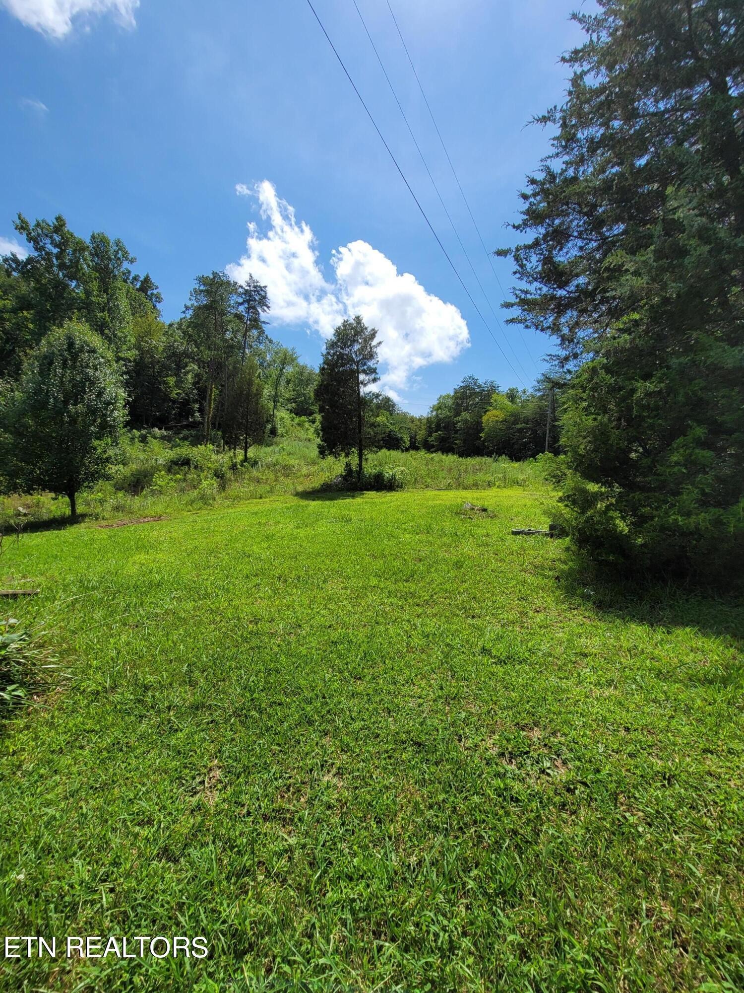 287 Cedarview Lane Bean Station, TN 37708 - Photo 35 of 35 Gallery Image 35