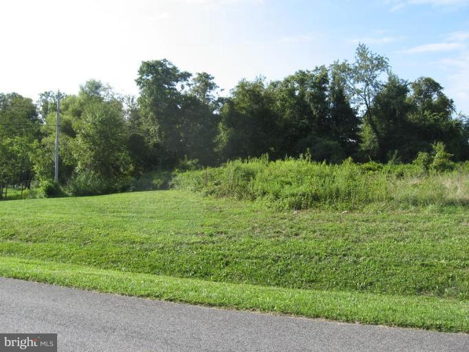 212 Shea Road Lothian, MD 20711 - Photo 3 of 24 a big yard with lots of green space
