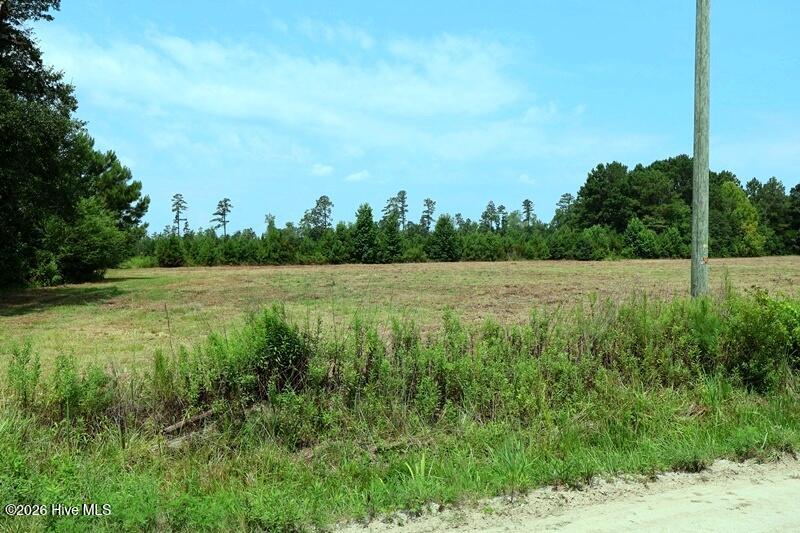 6609 Strickland Road Green Sea, SC 29545 - Photo 6 of 14