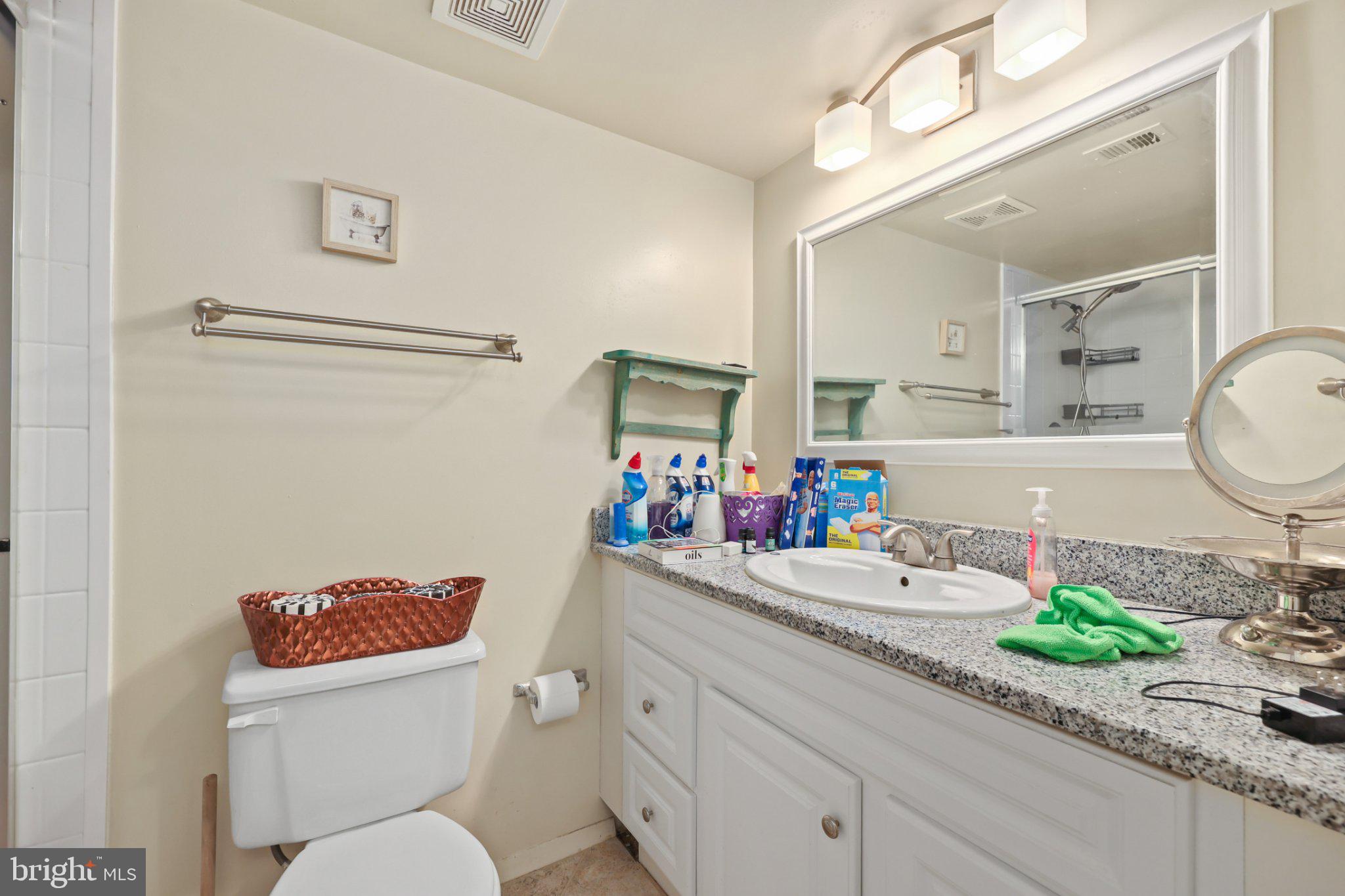 2116 Green Watch Way, Unit 10/201D Reston, VA 20191 - Photo 15 of 32 Bright and functional bathroom space.