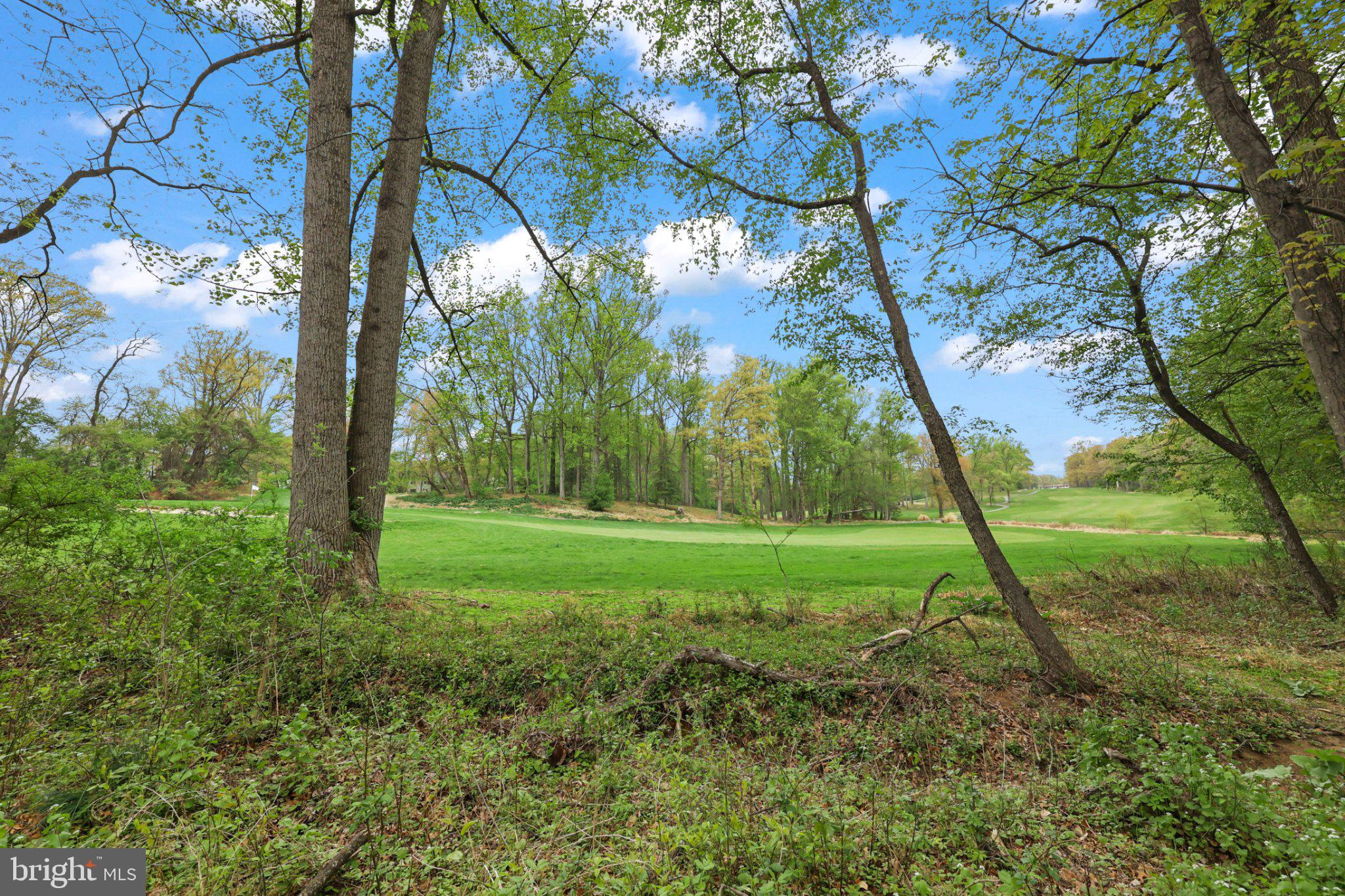 2116 Green Watch Way, Unit 10/201D Reston, VA 20191 - Photo 30 of 32 Lush greens framed by towering trees.