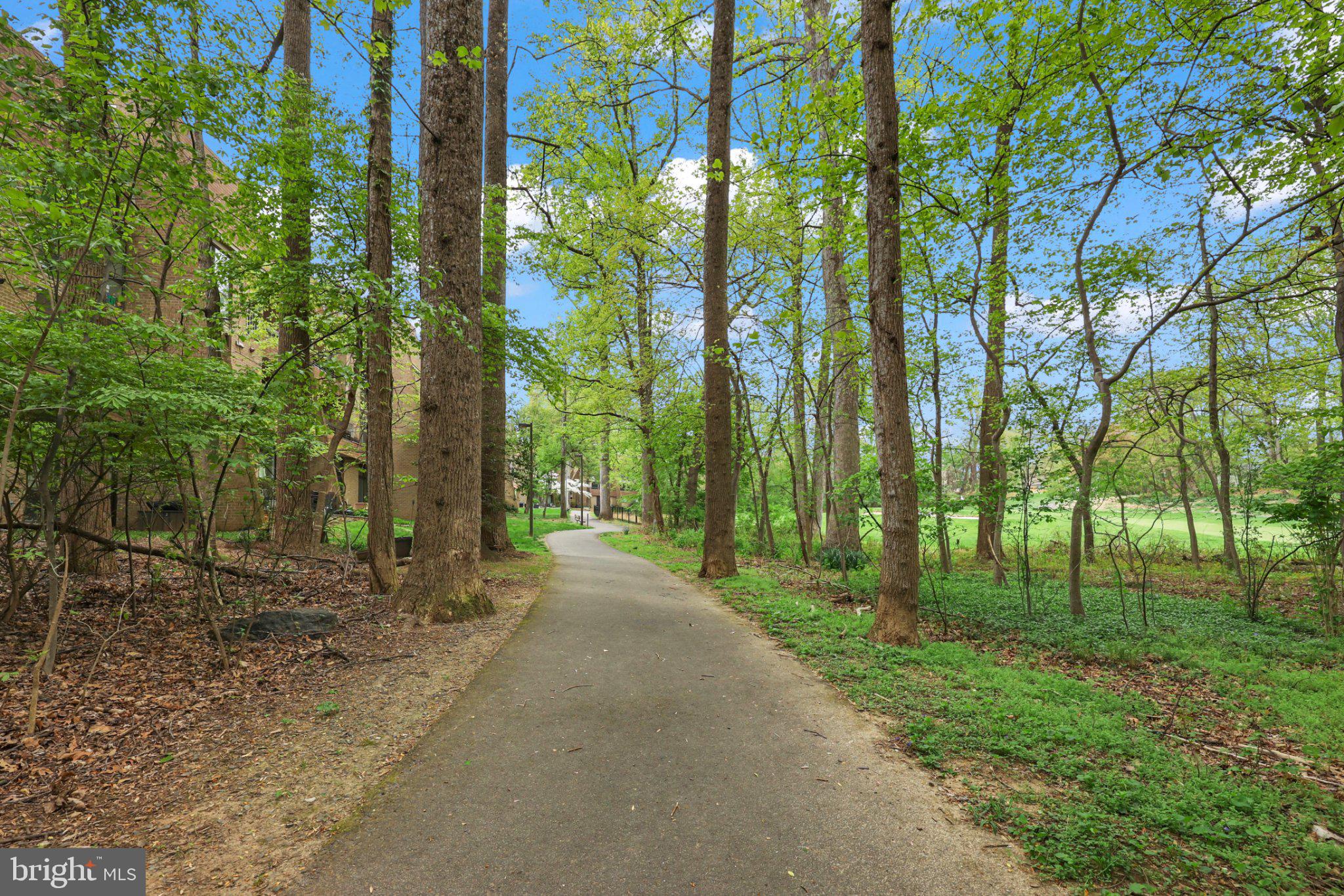 2116 Green Watch Way, Unit 10/201D Reston, VA 20191 - Photo 31 of 32 Serene path through lush greenery.