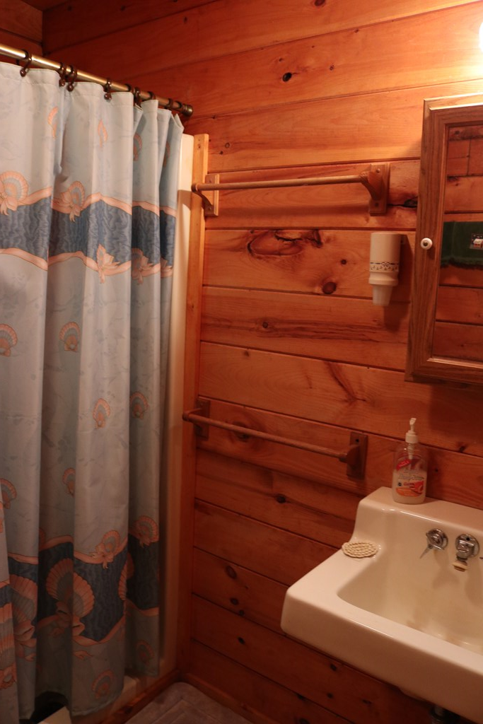 172 Jeffress Road Keysville, VA 23947 - Photo 13 of 27 Gallery Image 13