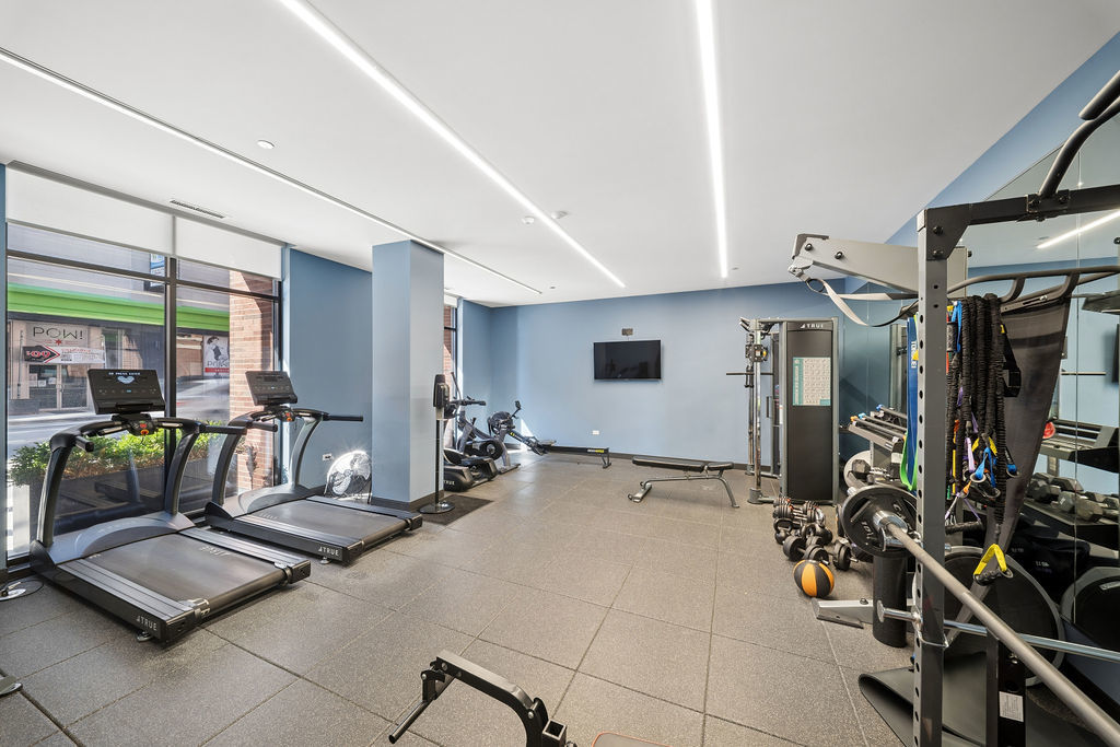 323 South Racine Avenue, Unit PHD Chicago, IL 60607 - Photo 41 of 47