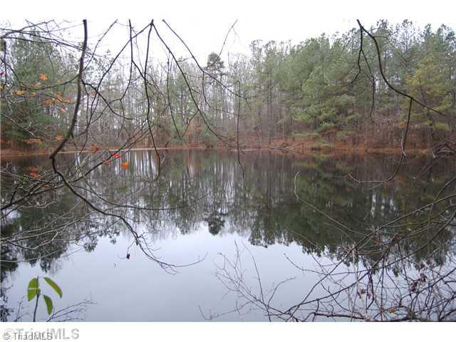 605 Swicegood Waitman Road Lexington, NC 27295 - Photo 14 of 16 Other. Pond