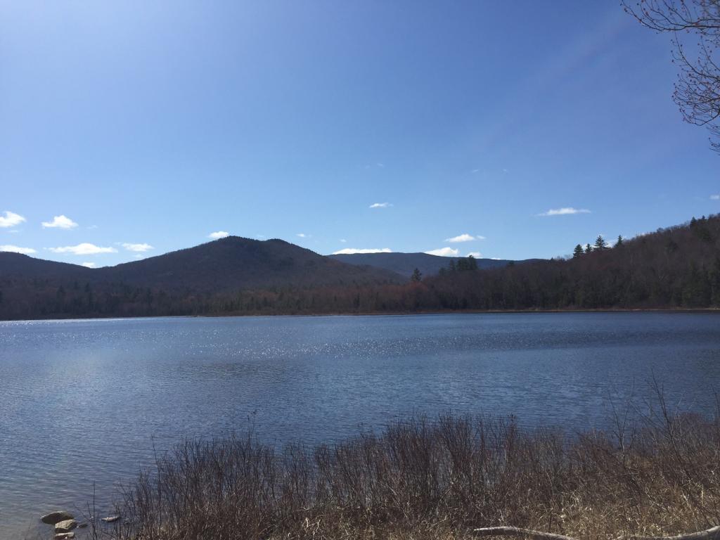 247 Ellsworth Pond Road Ellsworth, NH 03266 - Photo 32 of 33