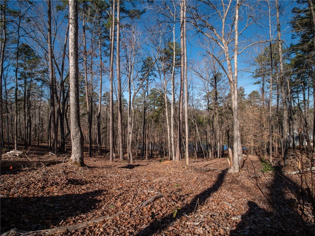 Lot 115 Harbor Point/ Cool Ridge Drive Seneca, SC 29672 - Photo 13 of 19 Gallery Image 13
