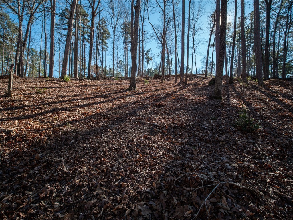 Lot 115 Harbor Point/ Cool Ridge Drive Seneca, SC 29672 - Photo 17 of 19 Gallery Image 17