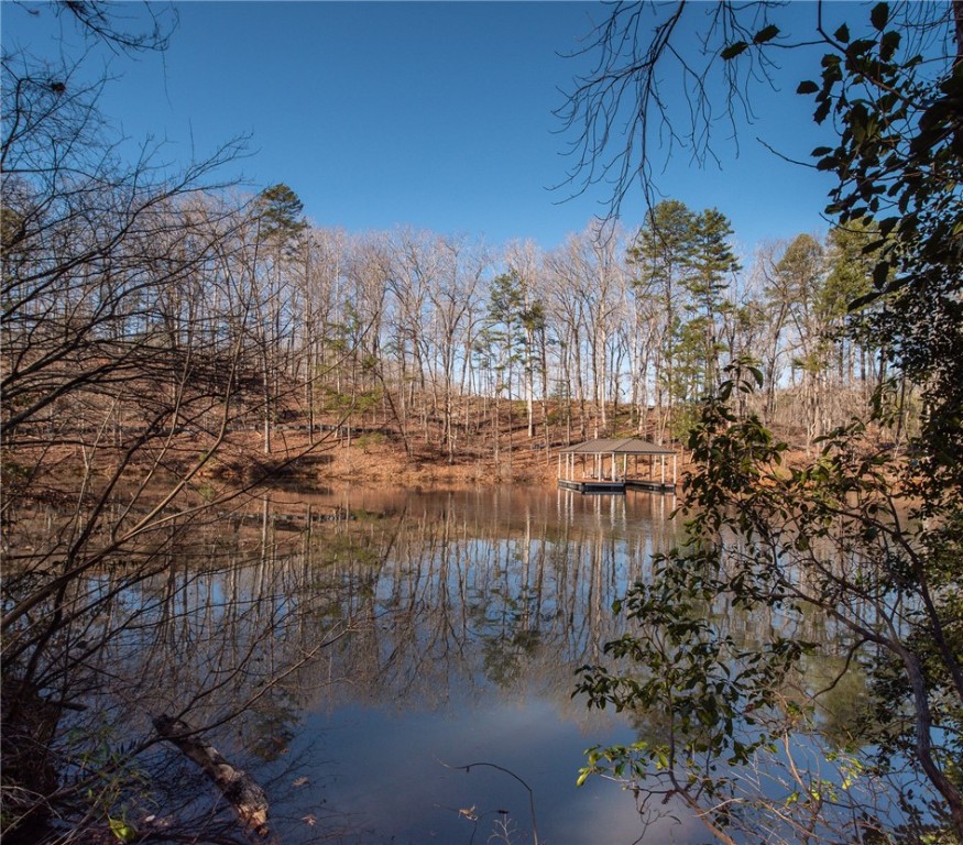 Lot 115 Harbor Point/ Cool Ridge Drive Seneca, SC 29672 - Photo 3 of 19 Gallery Image 3