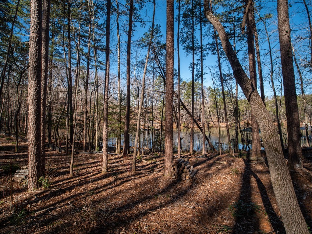 Lot 115 Harbor Point/ Cool Ridge Drive Seneca, SC 29672 - Photo 4 of 19 Gallery Image 4