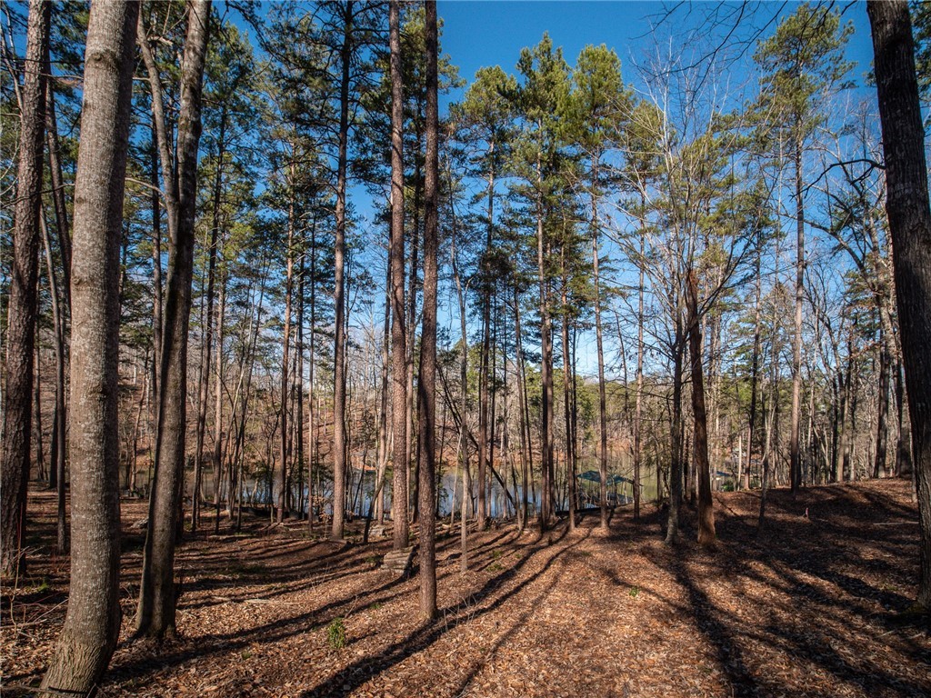 Lot 115 Harbor Point/ Cool Ridge Drive Seneca, SC 29672 - Photo 5 of 19 Gallery Image 5