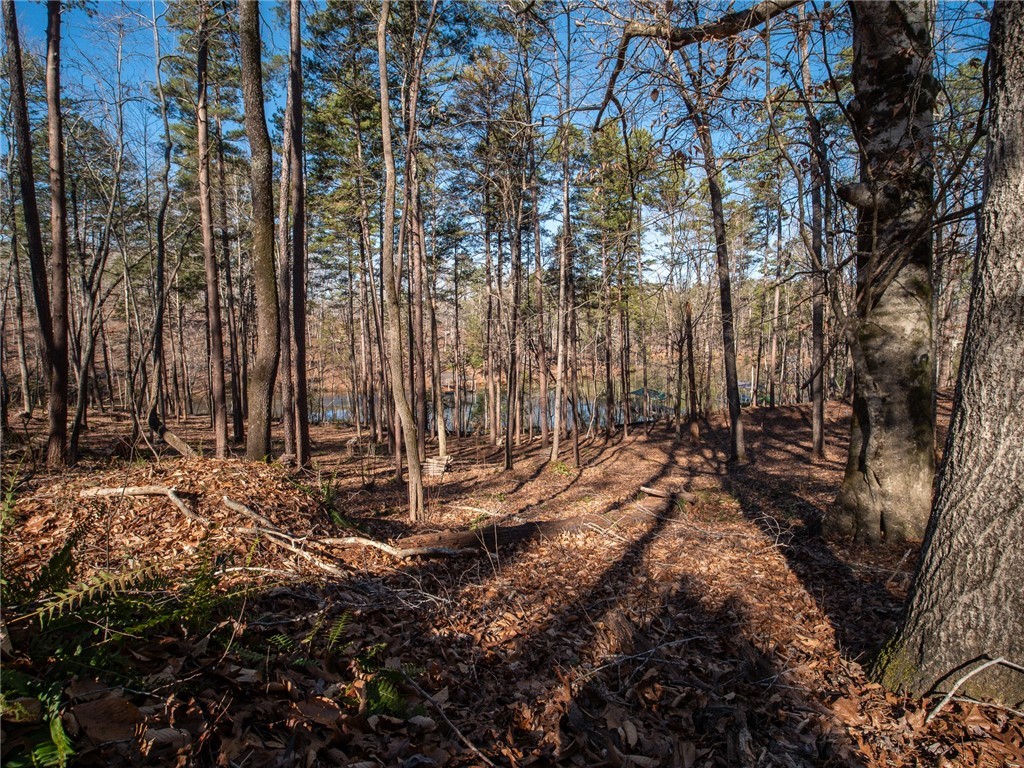 Lot 115 Harbor Point/ Cool Ridge Drive Seneca, SC 29672 - Photo 7 of 19 Gallery Image 7