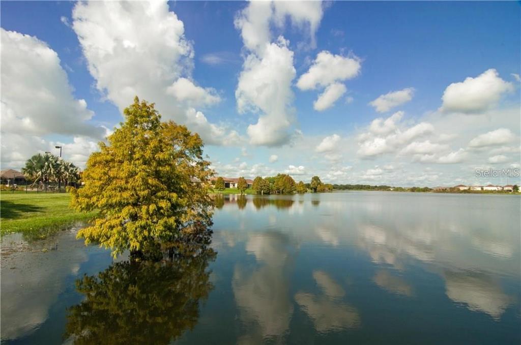 5578 Maggiore Boulevard Lakeland, FL 33805 - Photo 16 of 20