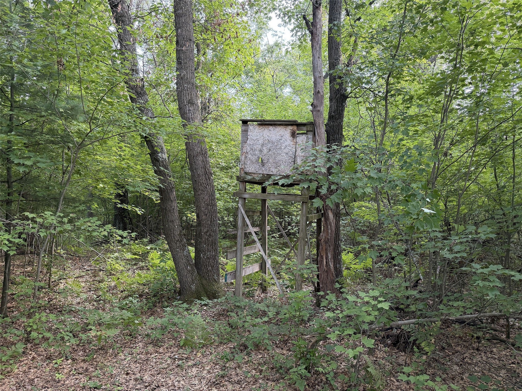 13160 Camp Road Fairchild, WI 54741 - Photo 7 of 32 Gallery Image 7