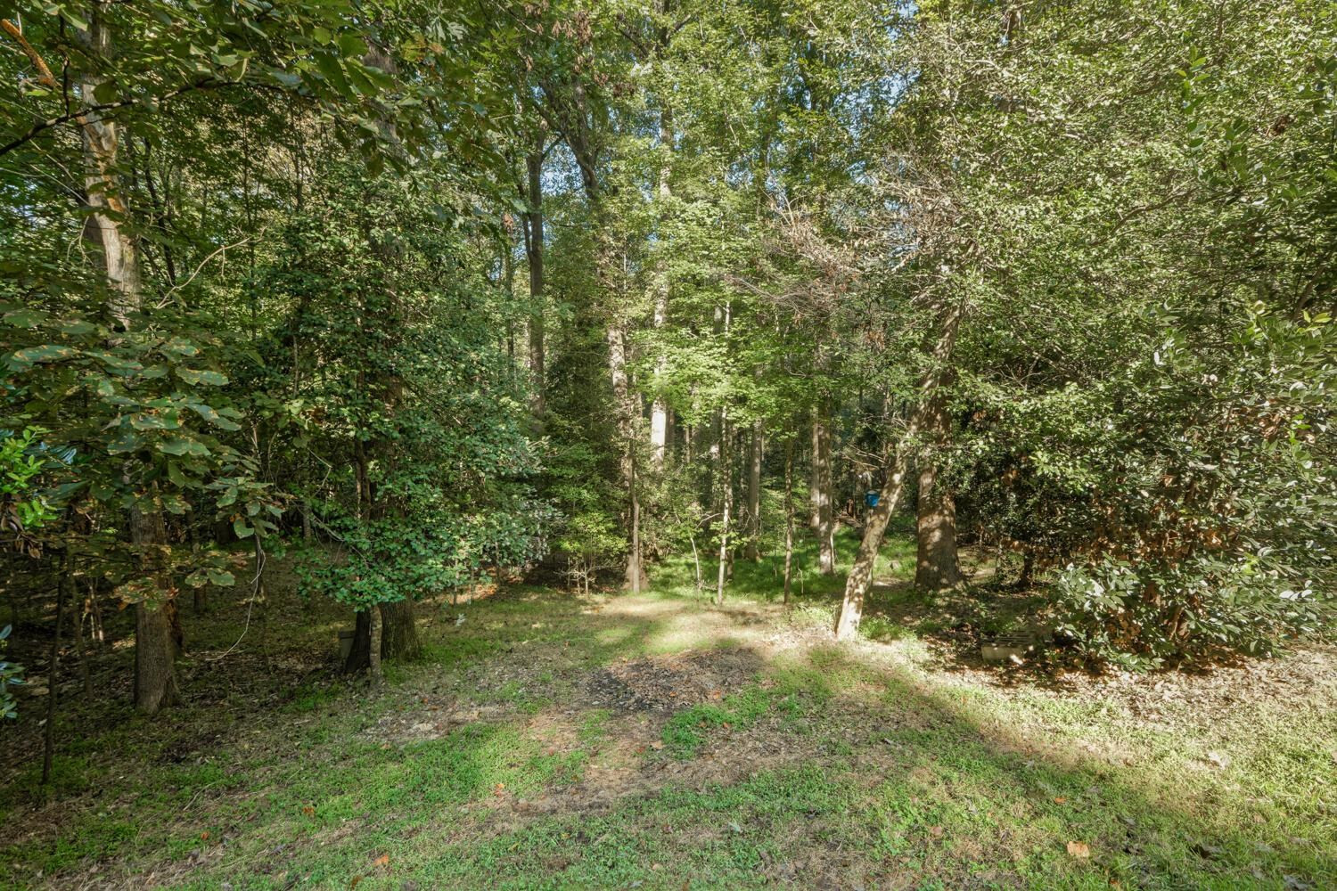 6128 Powell Ridge Road Holly Springs, NC 27540 - Photo 65 of 70 Photo 65