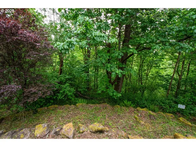 a view of outdoor space and yard
