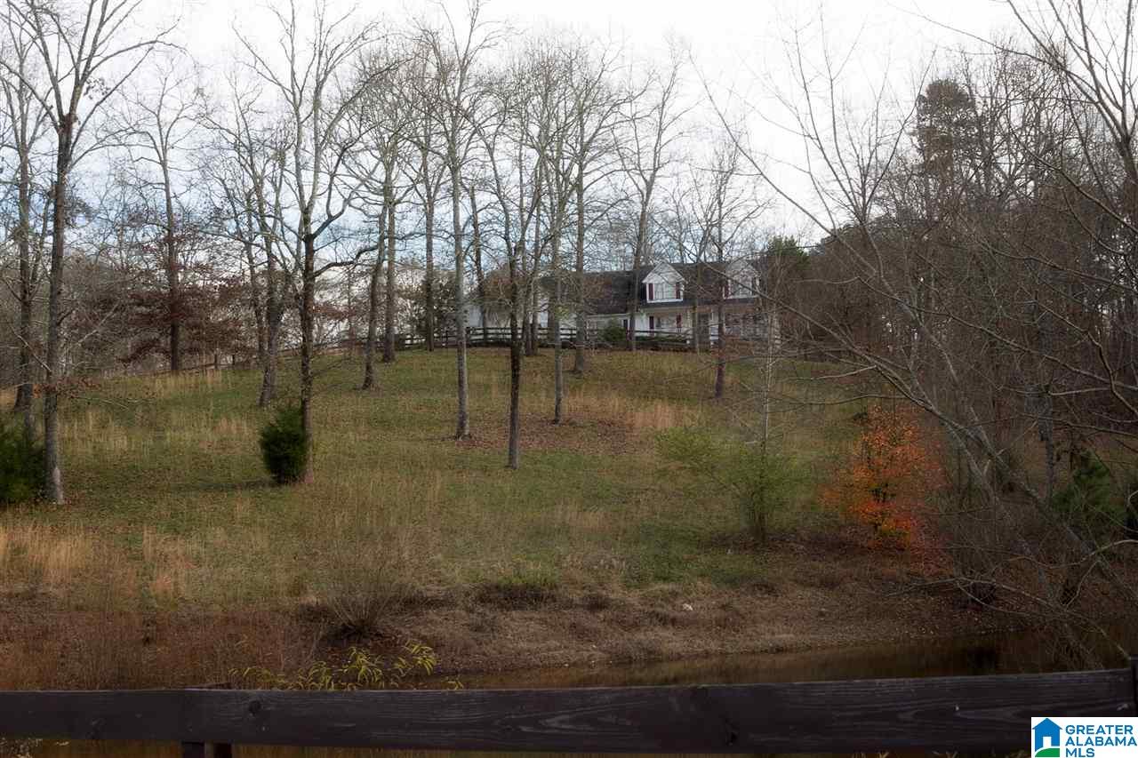 1850 Highway 132 Oneonta, AL 35121 - Photo 7 of 43
