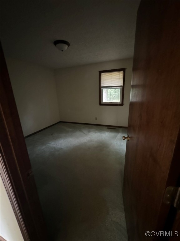 20602 River Road Sutherland, VA 23885 - Photo 11 of 21 Gallery Image 11