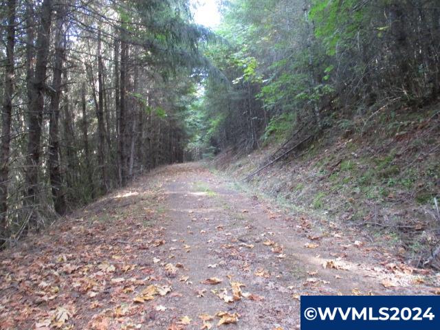 0 Northwest Crane (1) Road Yamhill, OR 97148 - Photo 2 of 10