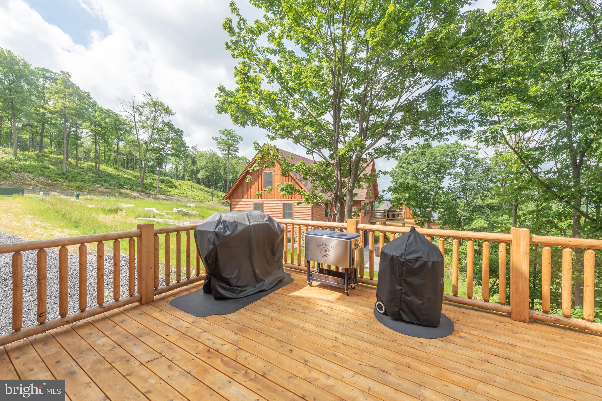 828 North Camp Road McHenry, MD 21541 - Photo 14 of 59