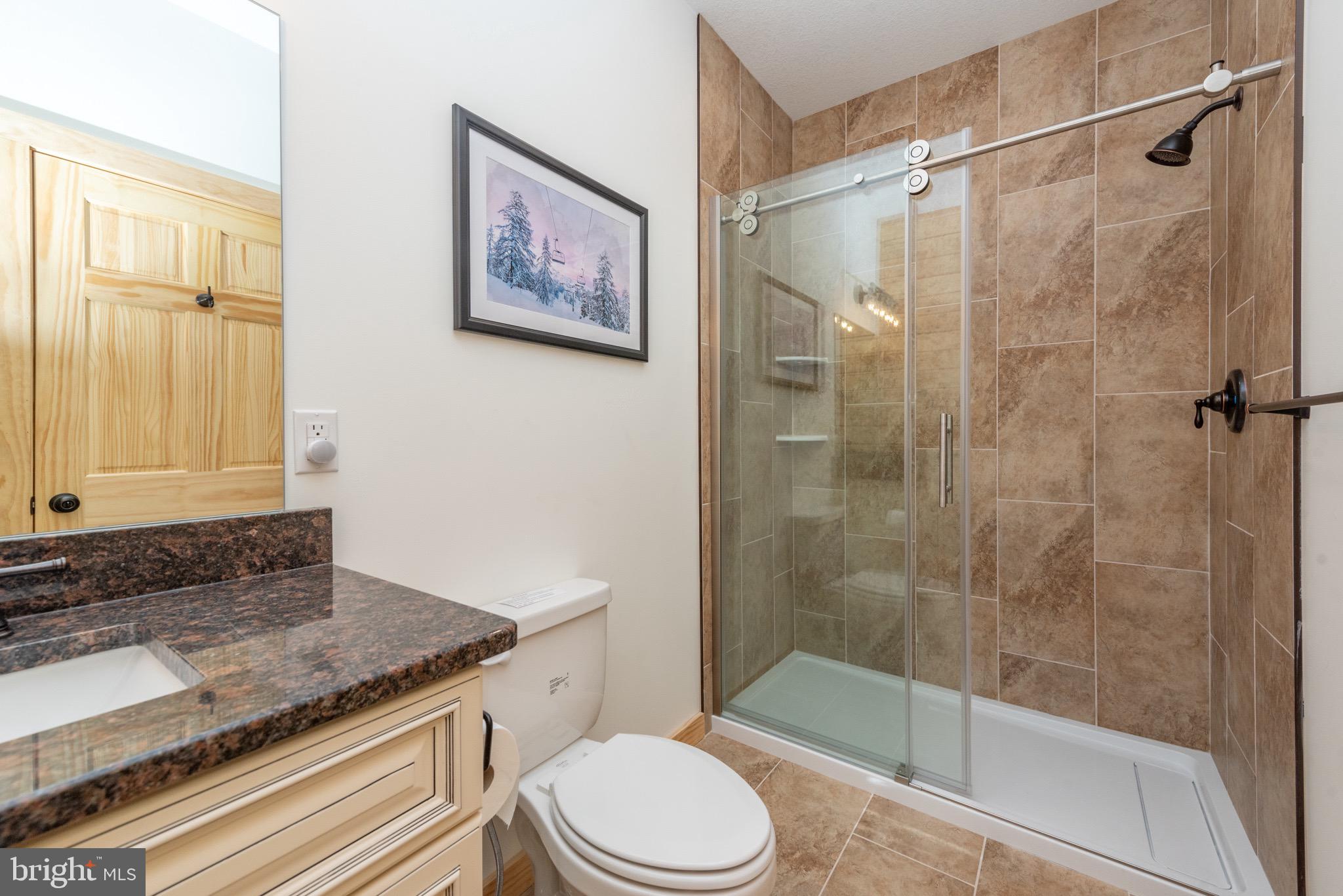 828 North Camp Road McHenry, MD 21541 - Photo 22 of 59 a bathroom with a granite countertop sink toilet and shower