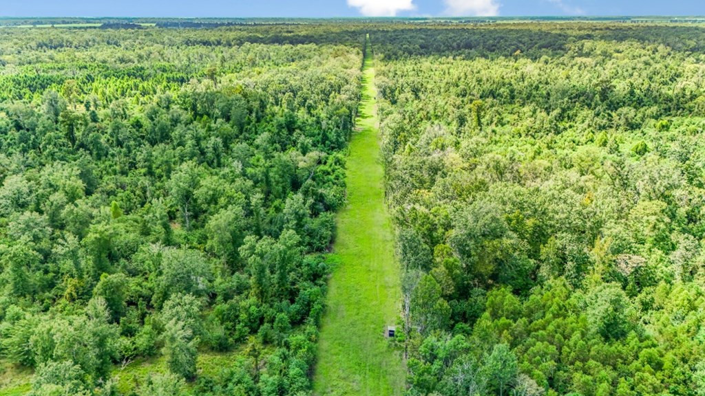 0 Jack Torres Road Port Allen, LA 70767 - Photo 2 of 12 Photo 2