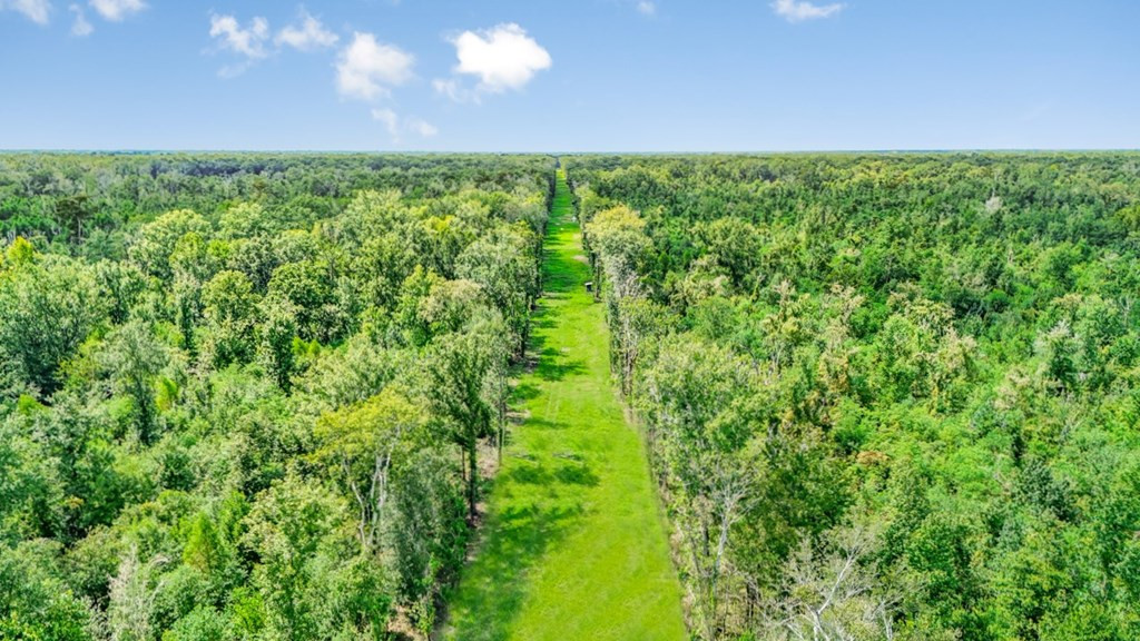 0 Jack Torres Road Port Allen, LA 70767 - Photo 3 of 12 Photo 3