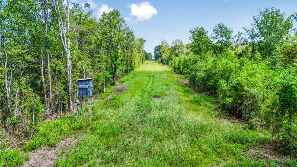 0 Jack Torres Road Port Allen, LA 70767 - Photo 4 of 12 Photo 4