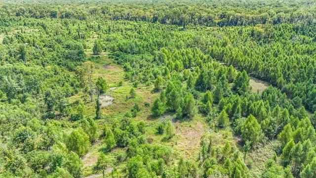 $630,000 | 0 Jack Torres Road, Port Allen, LA 70767