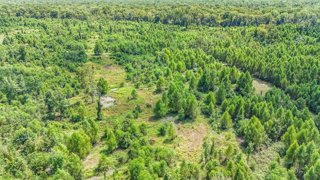 0 Jack Torres Road Port Allen, LA 70767 - Photo 5 of 12 Photo 5