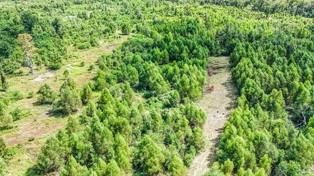 $630,000 | 0 Jack Torres Road, Port Allen, LA 70767