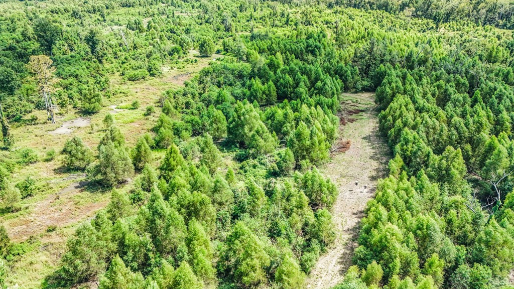 0 Jack Torres Road Port Allen, LA 70767 - Photo 6 of 12 Photo 6