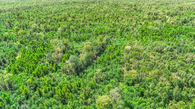 $630,000 | 0 Jack Torres Road, Port Allen, LA 70767