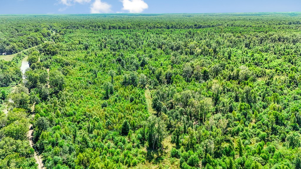 0 Jack Torres Road Port Allen, LA 70767 - Photo 8 of 12 Photo 8