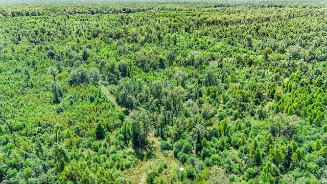 $630,000 | 0 Jack Torres Road, Port Allen, LA 70767