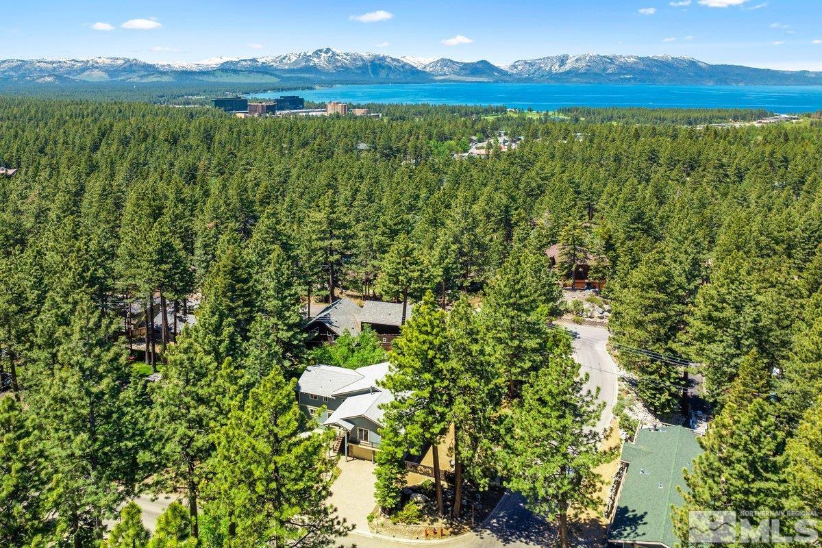 178 Chimney Rock Road Stateline, NV 89449 - Photo 21 of 28 a view of a lush green forest with a houses