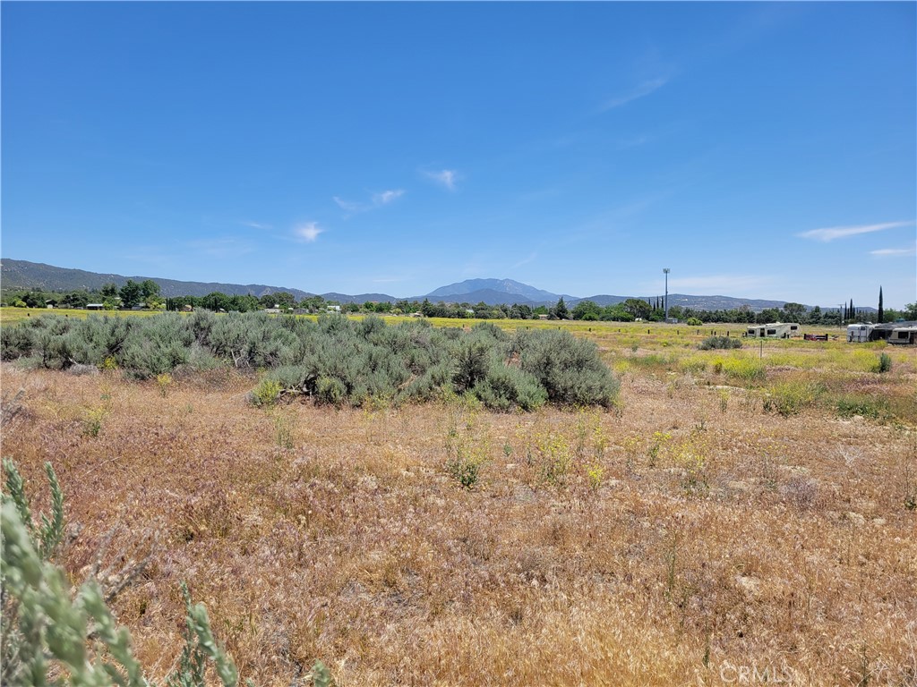 49 Bonita Vista Road Anza, CA 92539 - Photo 3 of 7