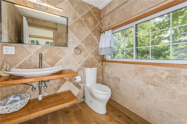 a bathroom with a toilet and a sink