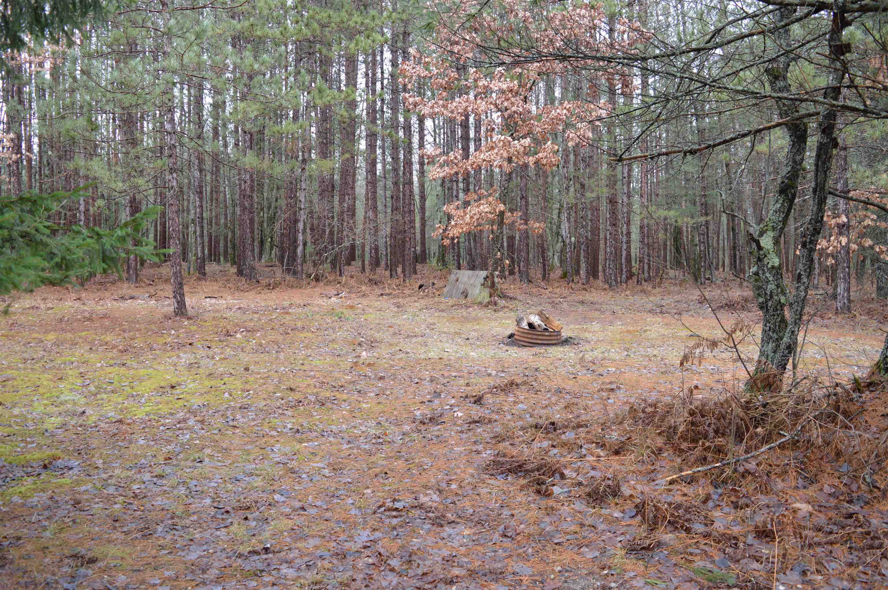 8766 Zubal Road Fife Lake, MI 49633 - Photo 19 of 30